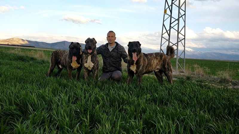 Tomarza Çaparları da tescilleniyor