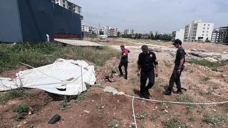 Yavru köpeği jandarmanın dikkati kurtardı