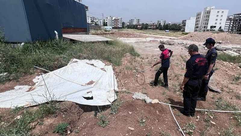 Yavru köpeği jandarmanın dikkati kurtardı