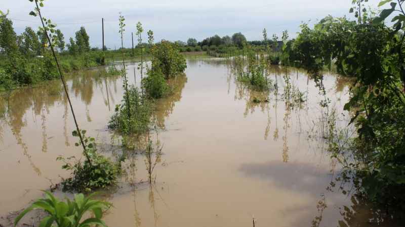 Çarşamba'yı sel aldı