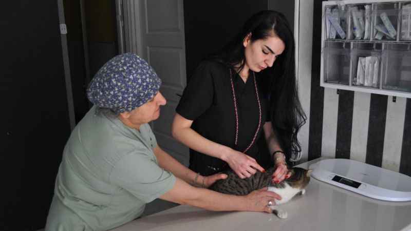 Evcil dostların kuduz aşısını ihmal etmeyin