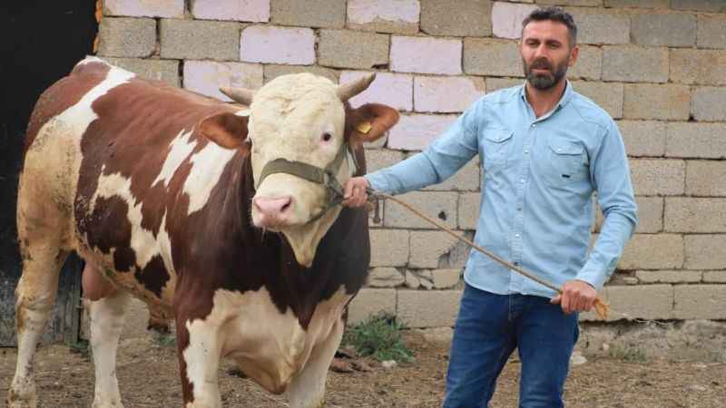 1 tonluk "Çalo" 130 bin liradan alıcısını bekliyor