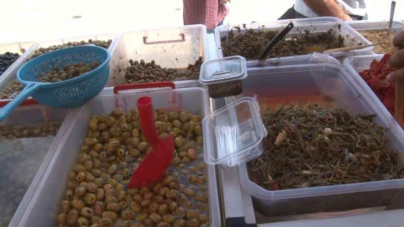 Hatay Dayanışma Günleri’ne yoğun ilgi