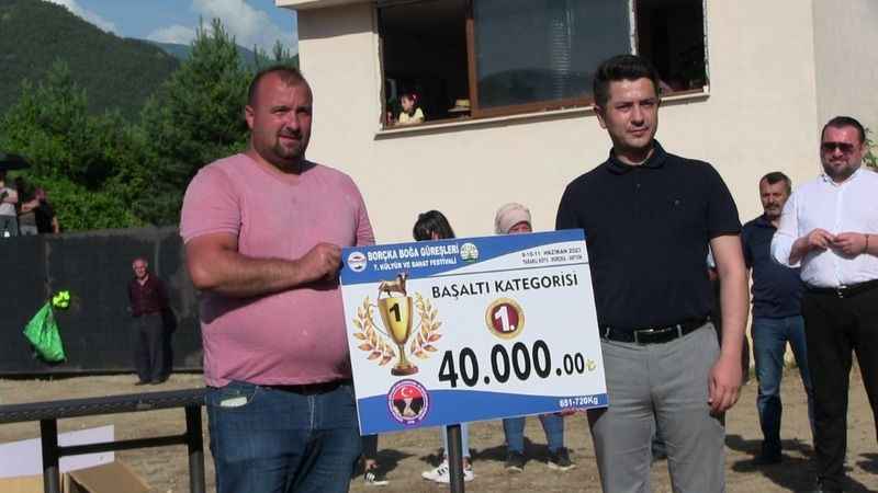 Boğaların güç mücadelesi nefes kesti