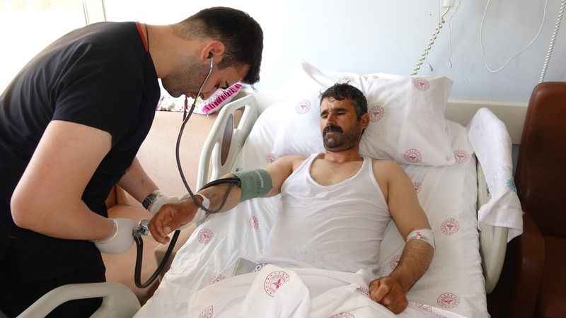 Kurbanlık seçerken hayvan tepti