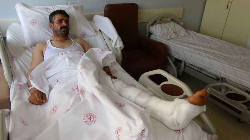 Kurbanlık seçerken hayvan tepti