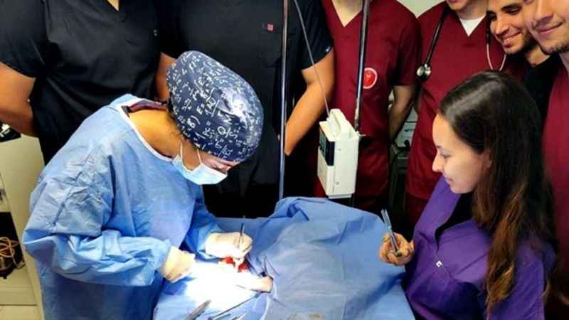 Kastamonu hayvan hastanesine kavuştu