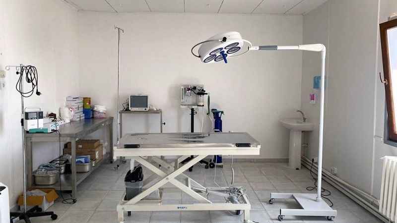 Kastamonu hayvan hastanesine kavuştu