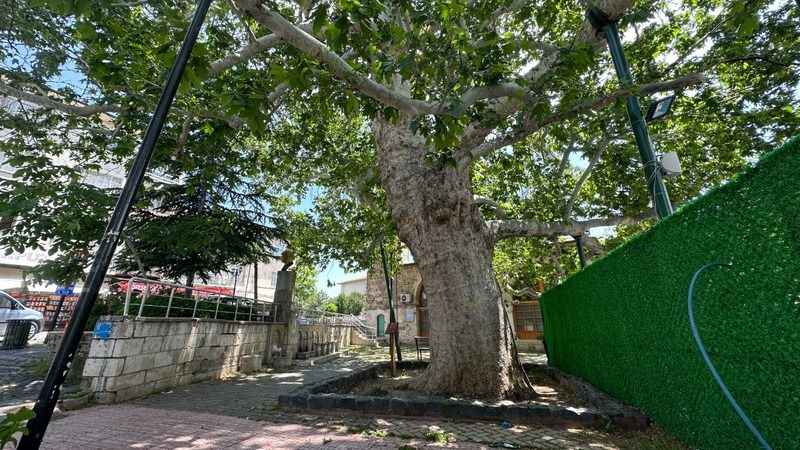 Evliya Çelebi gölgesinde soluklanmıştı