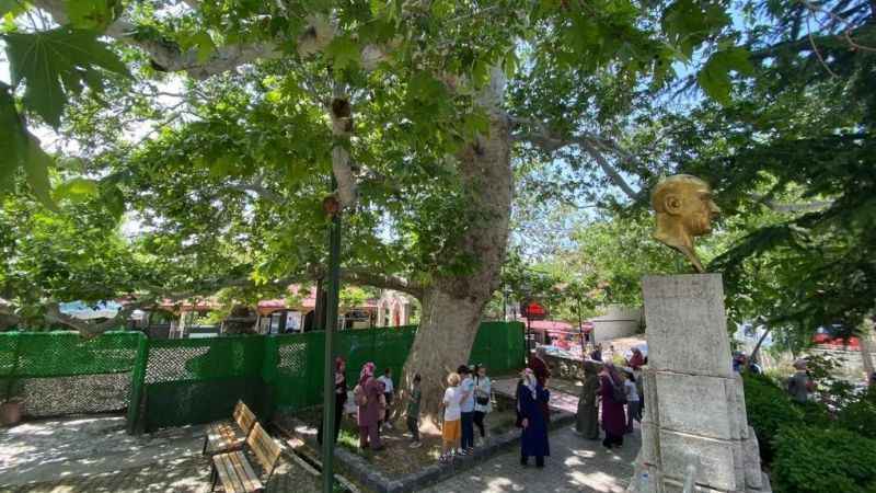 Evliya Çelebi gölgesinde soluklanmıştı