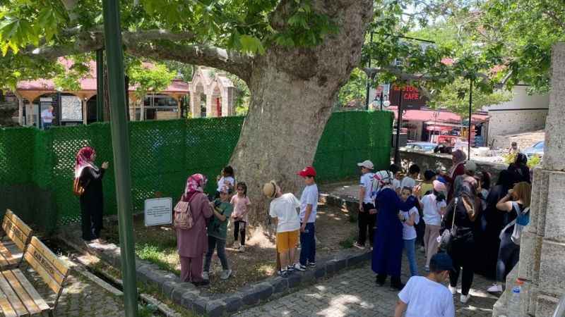 Evliya Çelebi gölgesinde soluklanmıştı