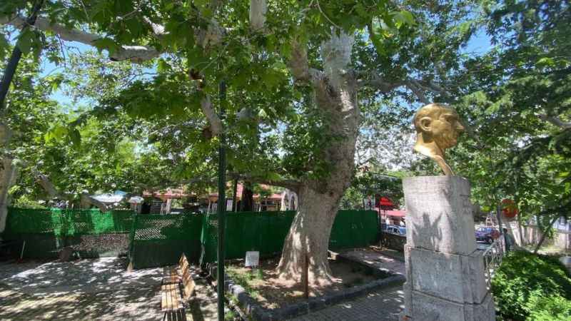 Evliya Çelebi gölgesinde soluklanmıştı