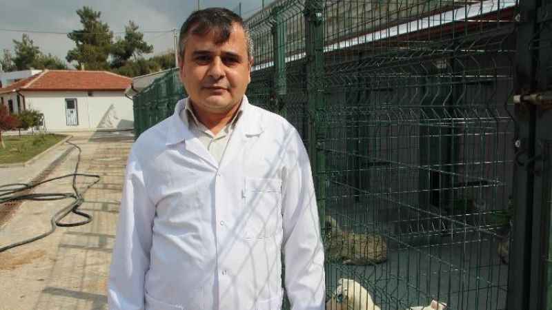 Kurbanlık alırken bunlara dikkat!