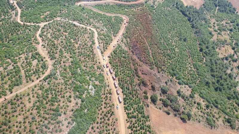 Marmaris'te yanan alanda ceset bulundu