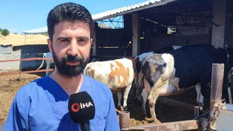 Kurbanlık alacaklara tüberküloz uyarısı