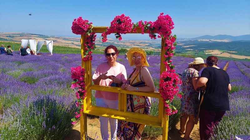 Tekirdağ’da lavanta şenliği
