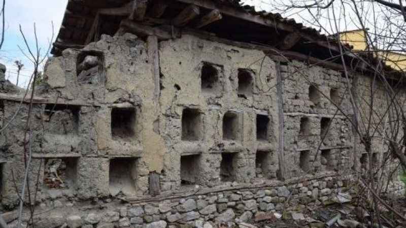 Bu ev doğal peteklerden oluşuyor!