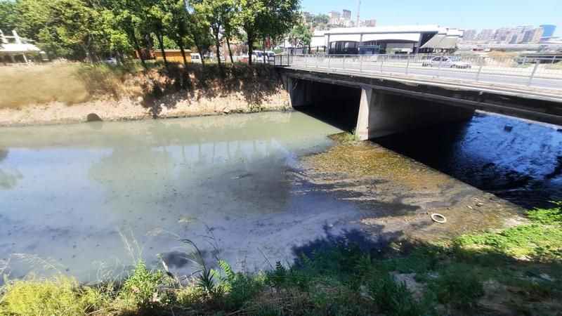 Haliç’i besleyen Alibey deresi atıklarla doldu