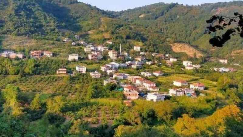 Hırsızlar, Alaplı'da boş evlere dadandı