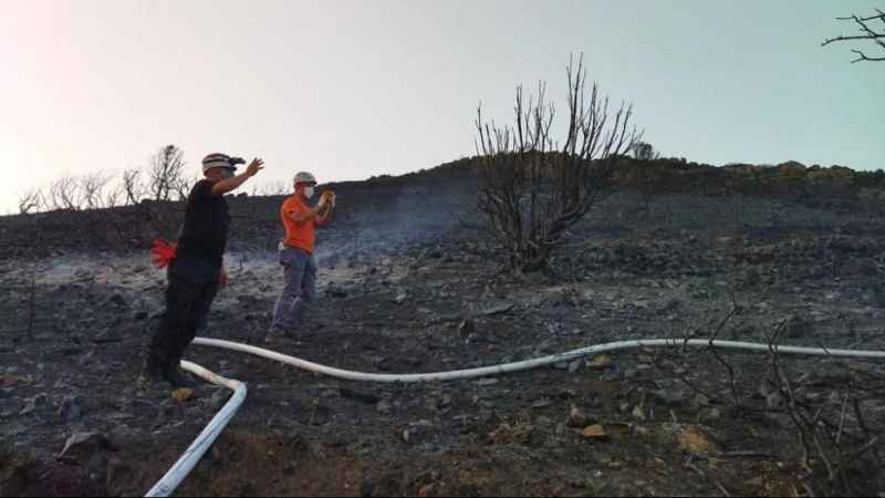 Datça’daki orman yangınında 25 hektarlık alan zarar gördü