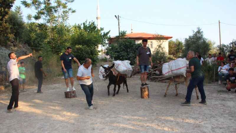 Eşeğe saman balyası yükleme yarışması