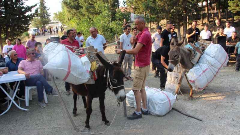 Eşeğe saman balyası yükleme yarışması