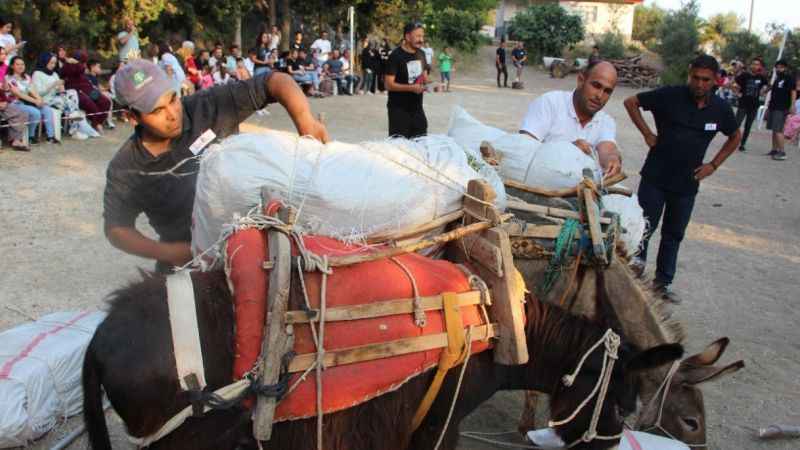Eşeğe saman balyası yükleme yarışması