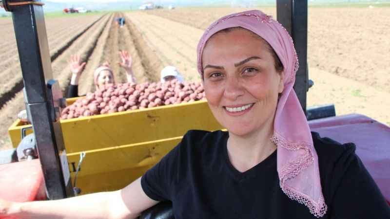 Cambridge mezunu kadın çiftçi, mor patatesi Anadolu’da yaygınlaştırmaya çalışıyor
