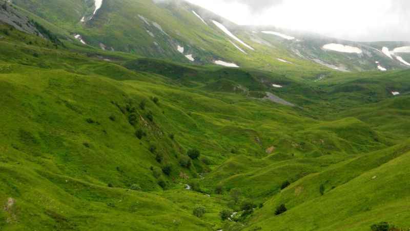 Posof’a hayvan girişleri yasak