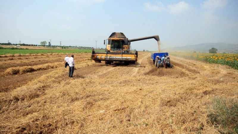 Başkan Aydın devreye girdi, TMO alımlara başlıyor