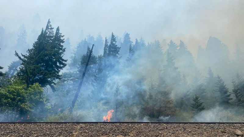 ABD’de orman yangını: 10 ev yandı, 540 dönüm alan küle döndü