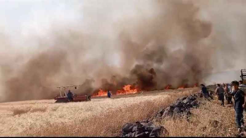 Diyarbakır'da yaklaşık 200 dönüm ekili arazi küle döndü