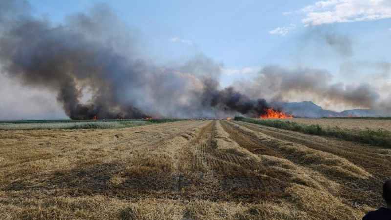 Burdur’da 800 dekar tarım arazisi yangında küle döndü