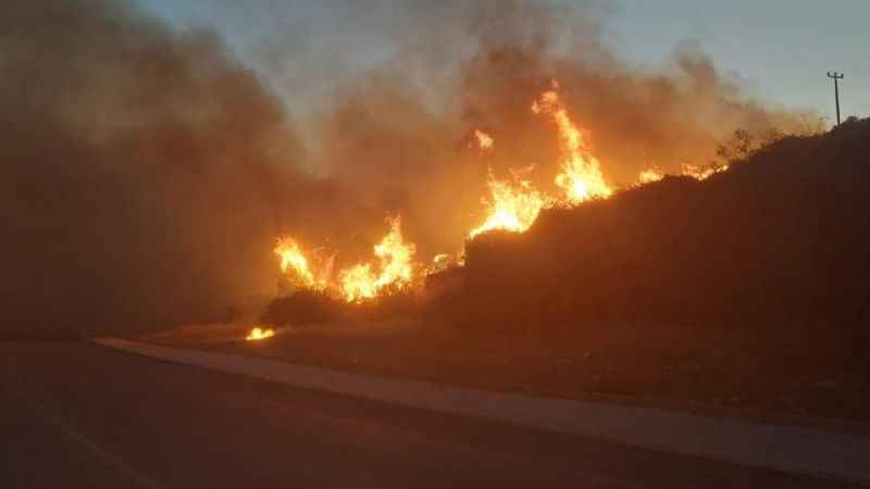 Didim’de makilik yangını kontrol altına alındı