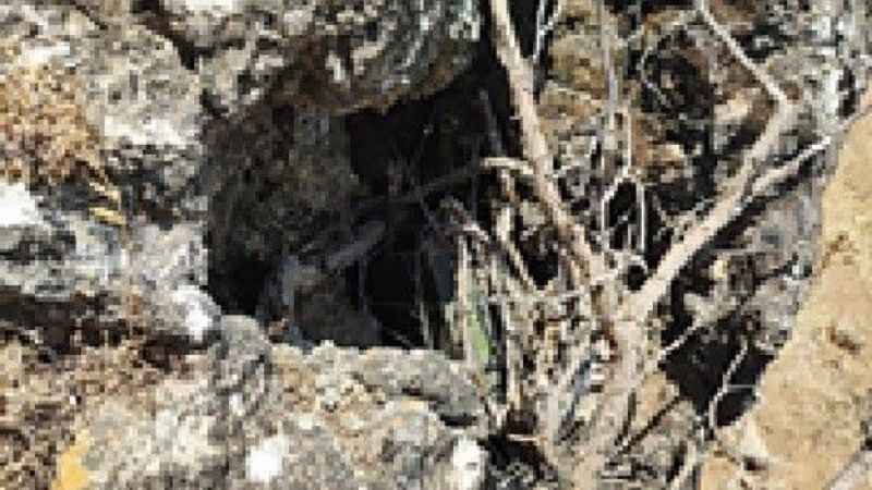 Terör örgütünün yakın adamı, saklandığı mağarada etkisiz hale getirildi