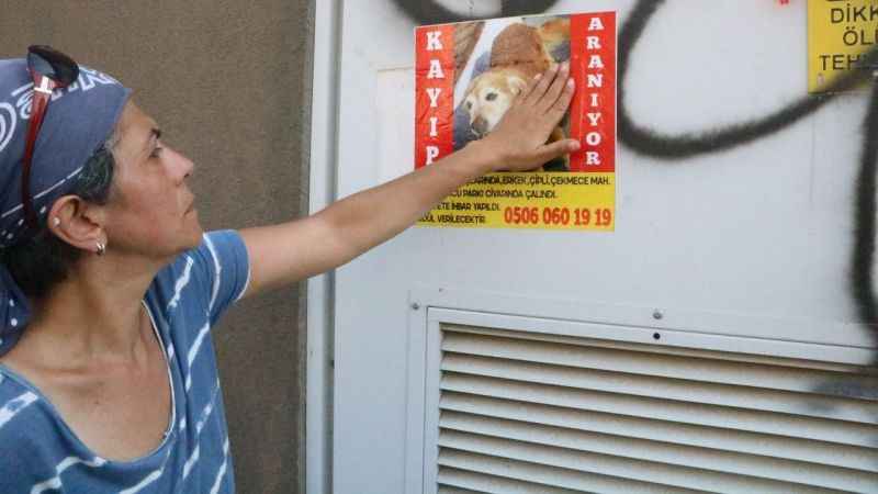 Enkaza dönen kentte kaybolan köpeğini arıyor