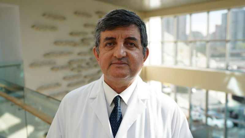 Sivrisinek ısırığına doğal önlem