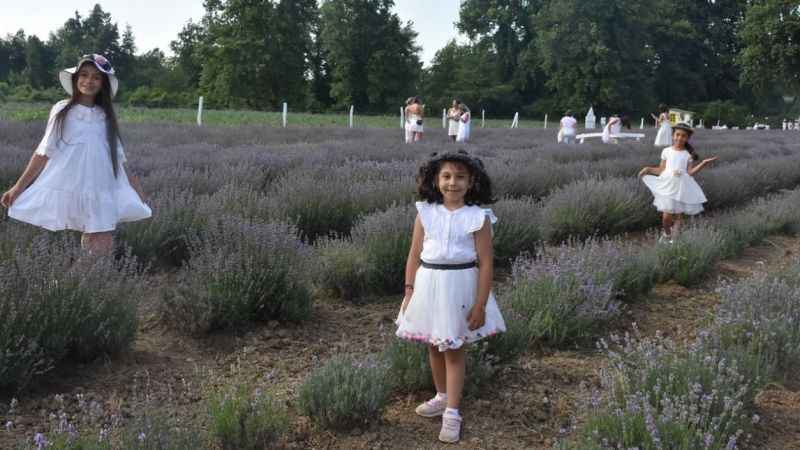 Alternatif turizm rotası: Lavanta tarlaları