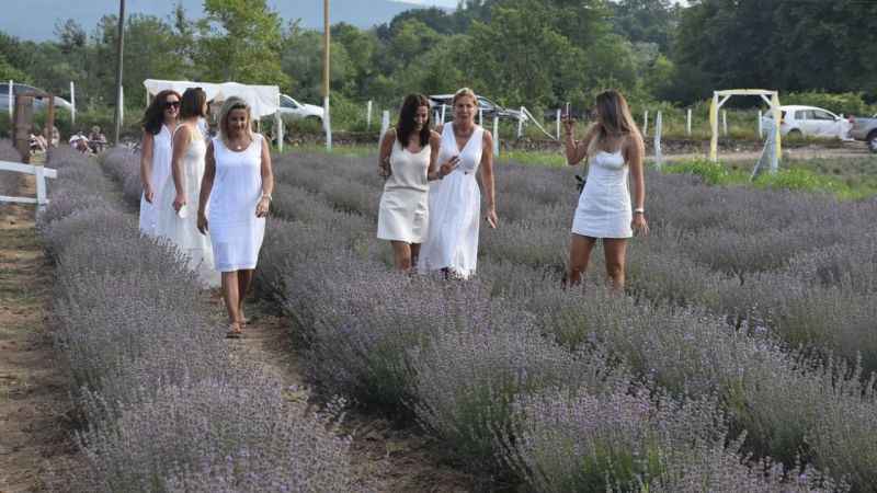 Alternatif turizm rotası: Lavanta tarlaları