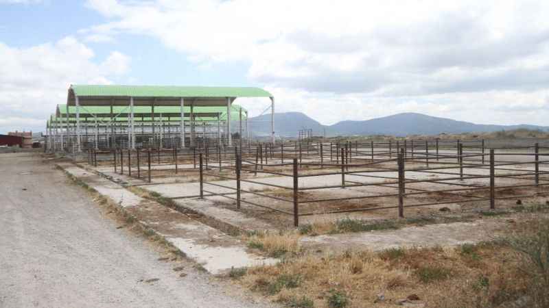 Beyşehir hayvan pazarı kapatıldı