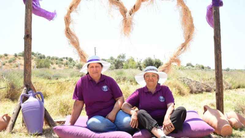 Didim’in Lavanta Festivali gün sayıyor Didim’in Lavanta Festivali gün sayıyor