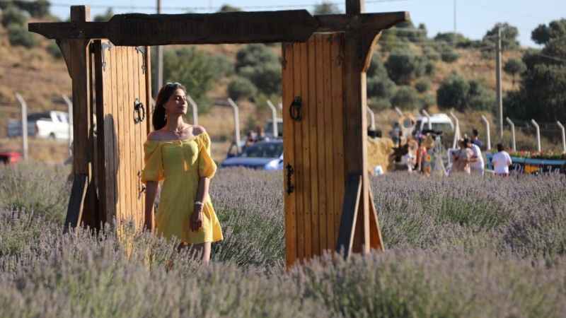 Didim’in Lavanta Festivali gün sayıyor Didim’in Lavanta Festivali gün sayıyor