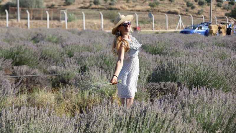 Didim’in Lavanta Festivali gün sayıyor Didim’in Lavanta Festivali gün sayıyor