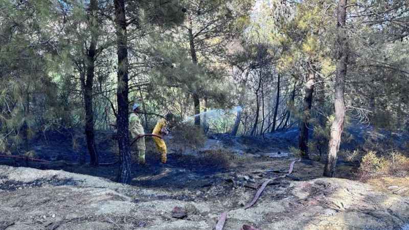 Hatay’da çıkan orman yangını kontrol altına alındı