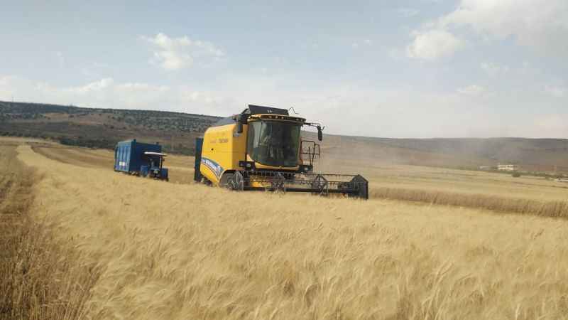 Yavuzeli’nde buğday ve arpa hasadı sürüyor