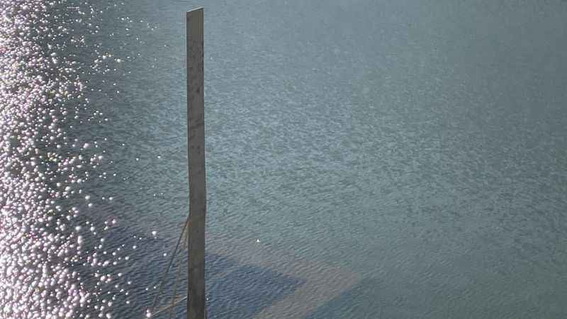 İstanbul'a su sağlayan barajlar endişelendiriyor