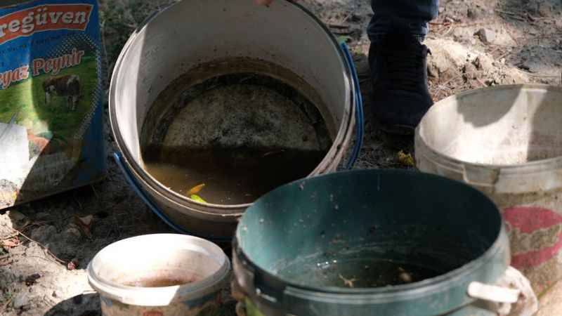 Sivrisinek sebebiyle hastanelere başvurular arttı