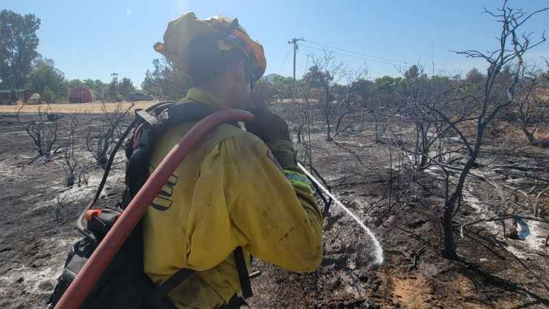 California’da orman yangını: 3 bin 400 hektar alan yandı