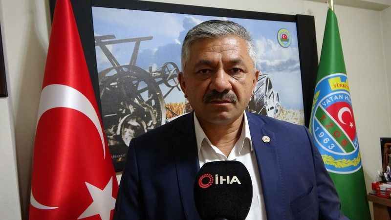 Soydan: “Türkiye'nin tahmini fındık rekoltesi 717 bin ton"