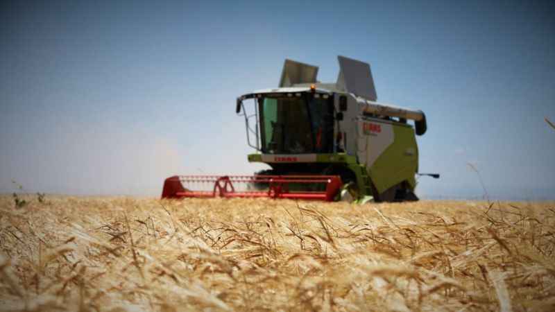 Tahıl ambarında 2 milyon 400 bin ton buğday rekoltesi beklentisi